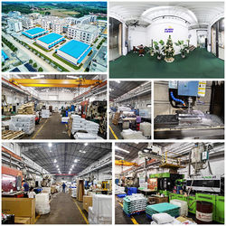 ประเทศจีน Shenzhen Flyon Sports  Co., Ltd. ข้อมูลบริษัท