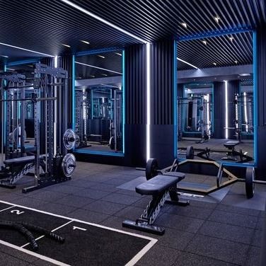 ราคาดี แผ่นยางปูพื้นในร่ม GYM สีดำ SBR พร้อมพื้นผิว EPDM Flecked ออนไลน์