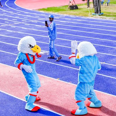 ราคาดี ลู่วิ่งแซนด์วิชปลอดสารพิษ ลู่วิ่งแอธเลติกพร้อมใบรับรอง IAAF ออนไลน์
