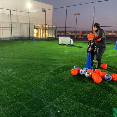 ราคาดี หญ้าเทียม ป้องกันรังสียูวี ต่อต้านริ้วรอย 45mm , Sports Synthetic Grass 50cm × 50cm ออนไลน์