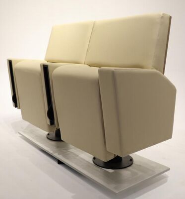 ราคาดี ปีการเงิน 962 เก้าอี้โรงละครกรอบเหล็กหนัก พร้อมเก้าอี้ปลายสองตัวและตัวถือถ้วยพับได้ ออนไลน์