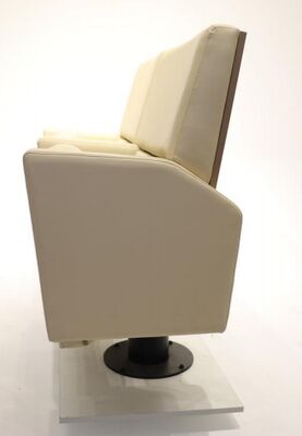 ราคาดี ที่นั่งโรงละครโมเดิร์นที่ทนทานแบบพาณิชย์ EN1021 ระดับการเผาไหม้ ออนไลน์